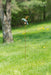 Happy Gardens - Floral Hummingbird Garden Stake