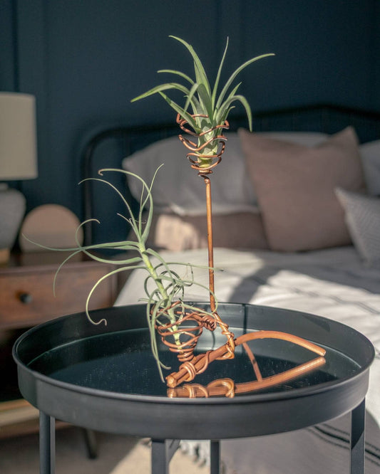 Two green air plants in copper wire spiral planters displayed on a black round side table in a modern bedroom setting.