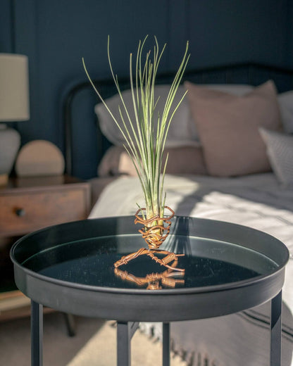 A round black metal side table in a modern bedroom setting, holding a small decorative plant in a copper-colored vase.