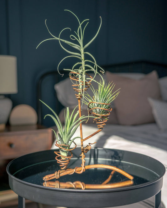 Copper Air Plant Holder - Happy Gardens