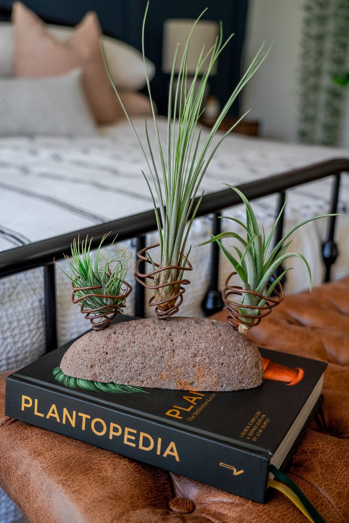 Stone Air Plant Holder - Happy Gardens