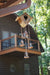 Happy Gardens - Birdhouse Wind Chime