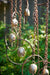 Happy Gardens - Circle with Bells Spiral Mobile