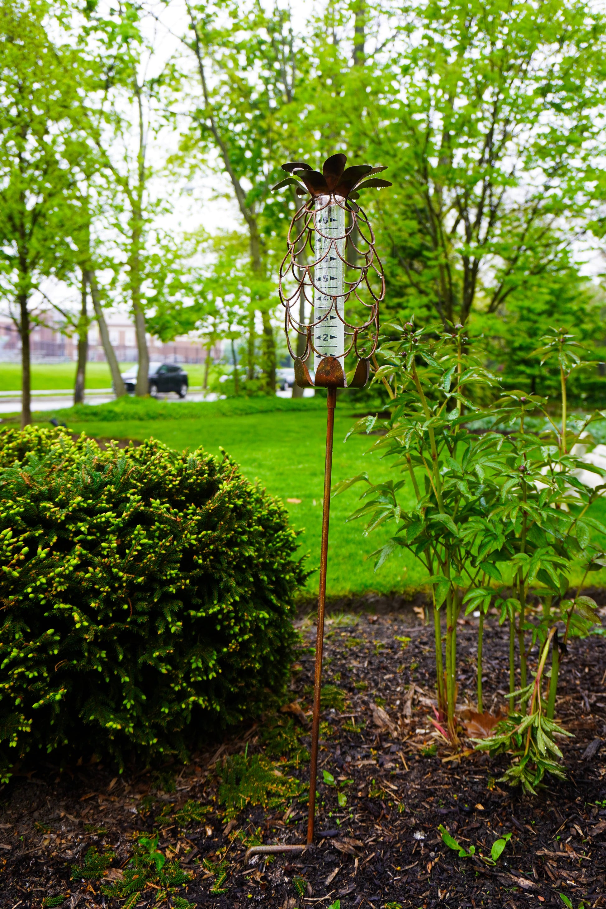 Happy Gardens - Pineapple Rain Gauge Stake