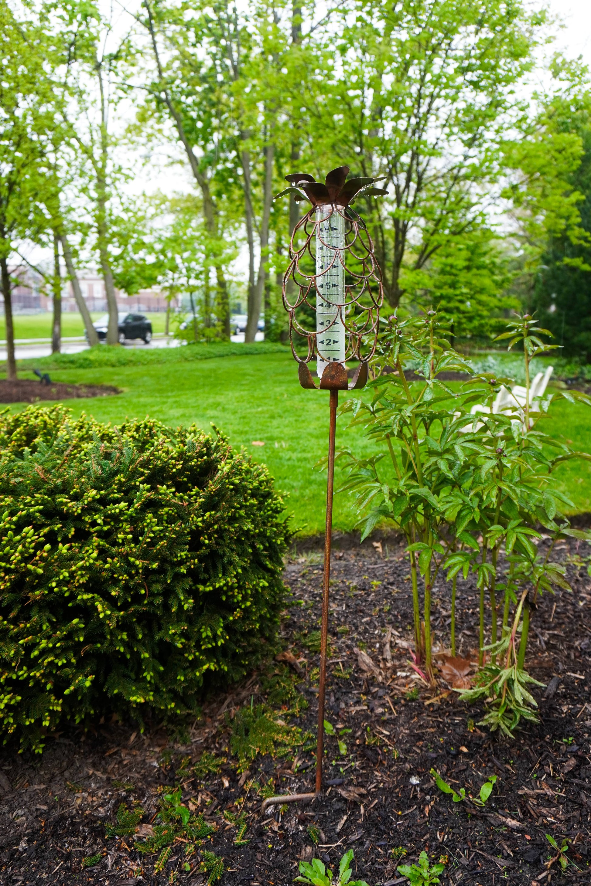 Happy Gardens - Pineapple Rain Gauge Stake