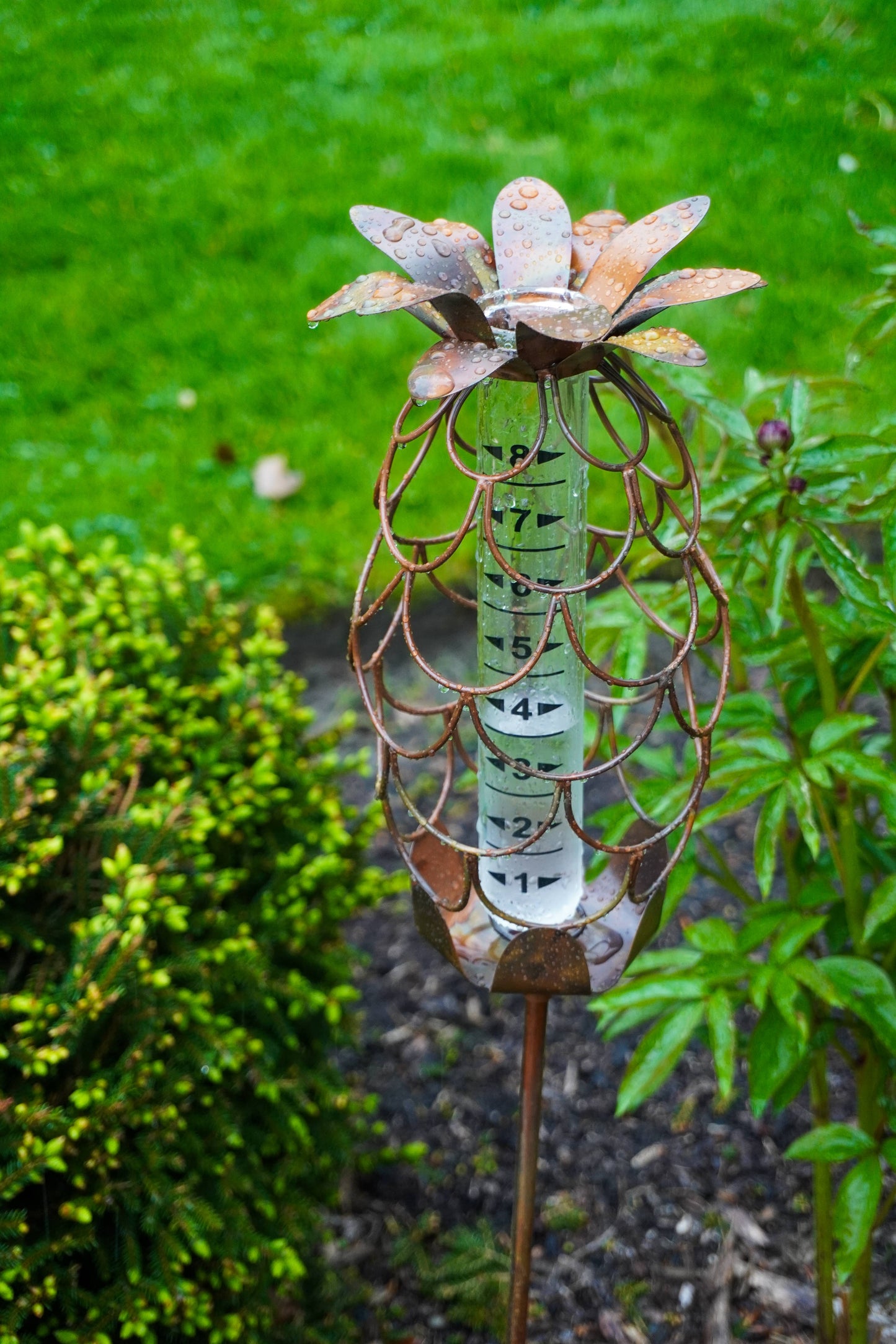 Happy Gardens - Pineapple Rain Gauge Stake