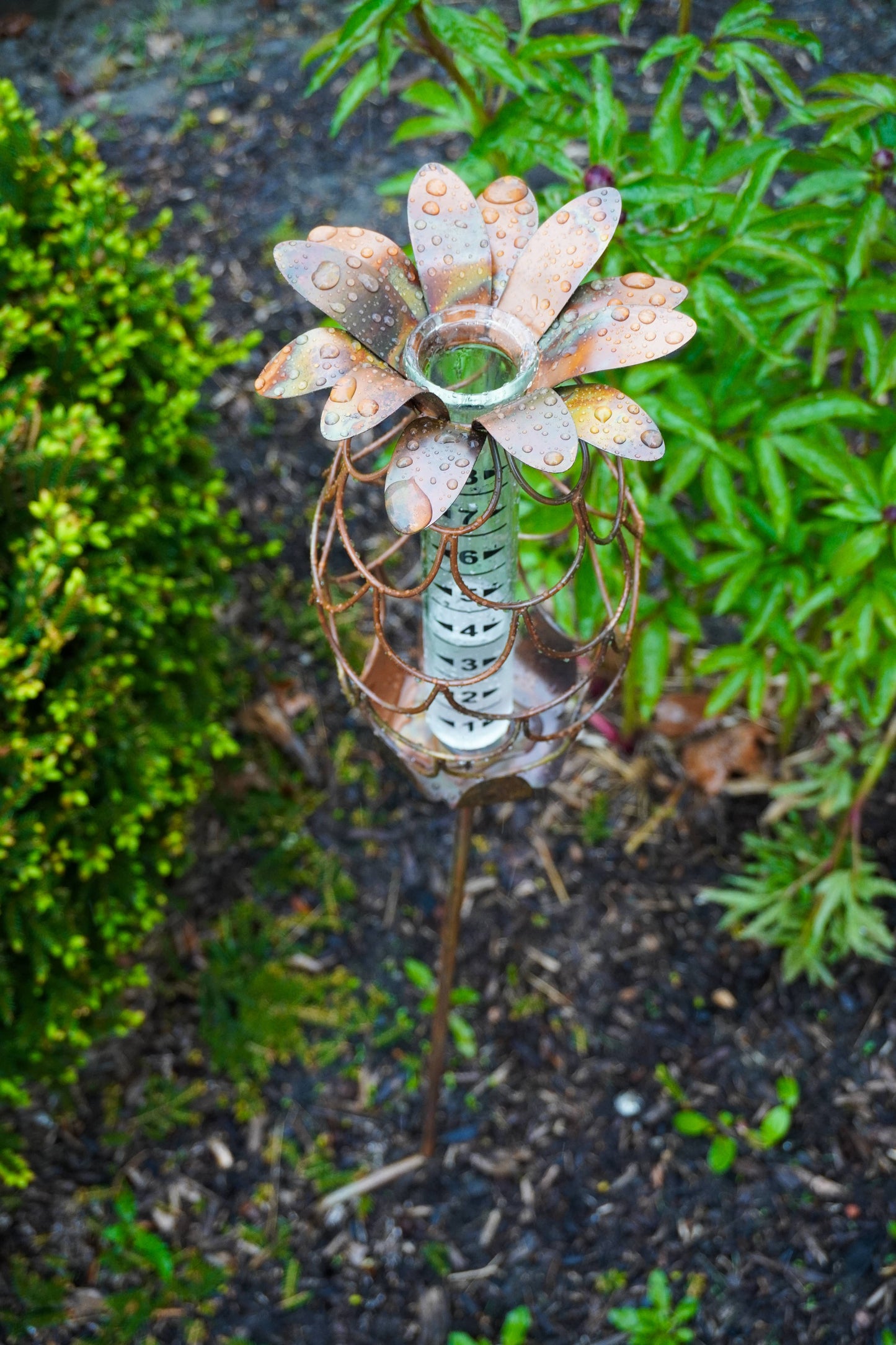 Happy Gardens - Pineapple Rain Gauge Stake