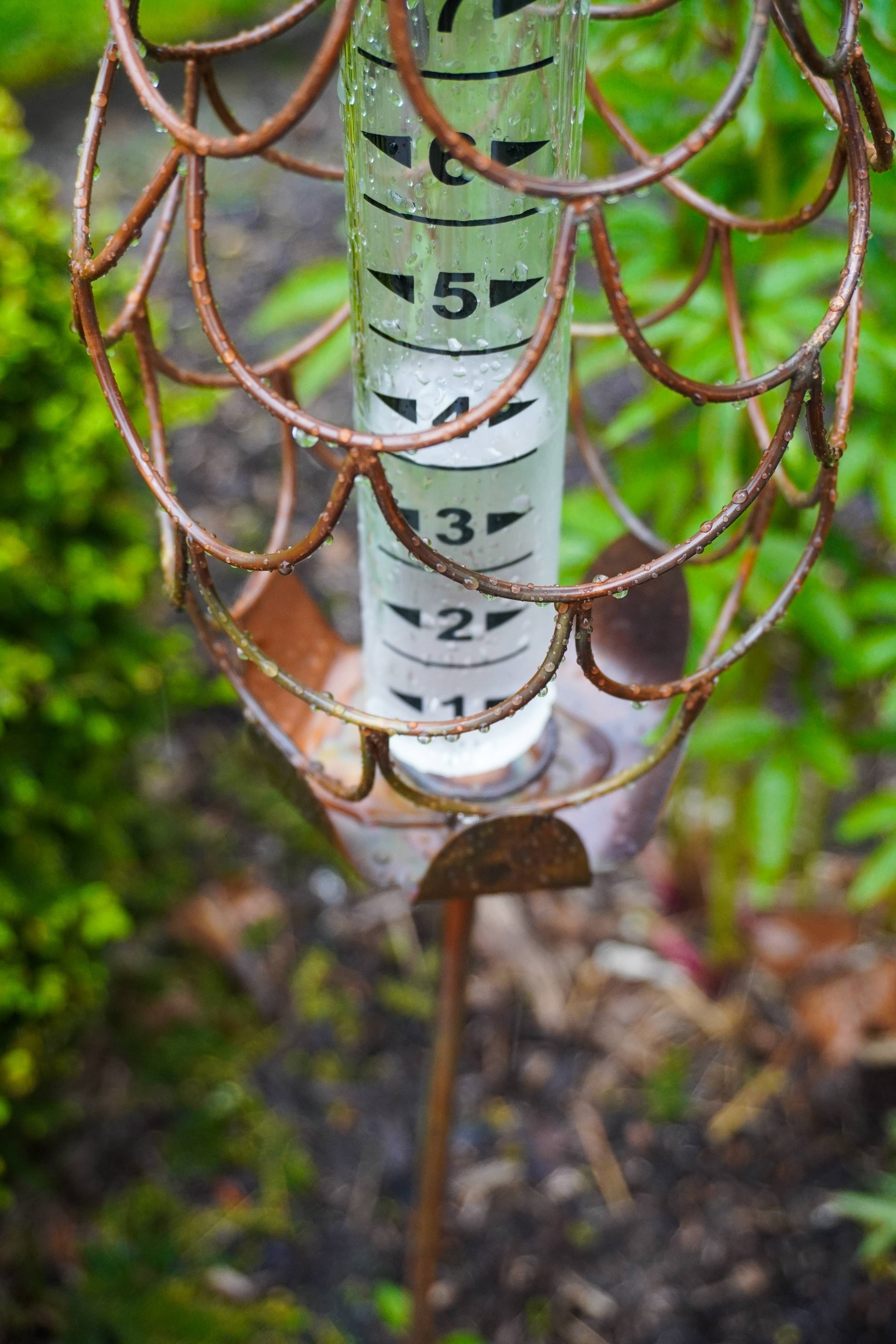 Happy Gardens - Pineapple Rain Gauge Stake