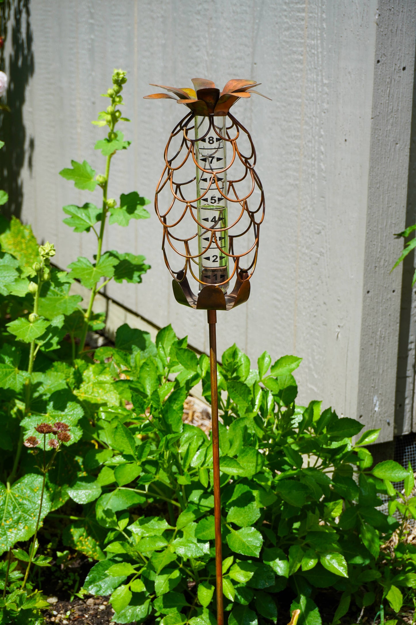 Copper-toned metal pineapple-shaped rain gauge with glass tube on a garden stake surrounded by green plants