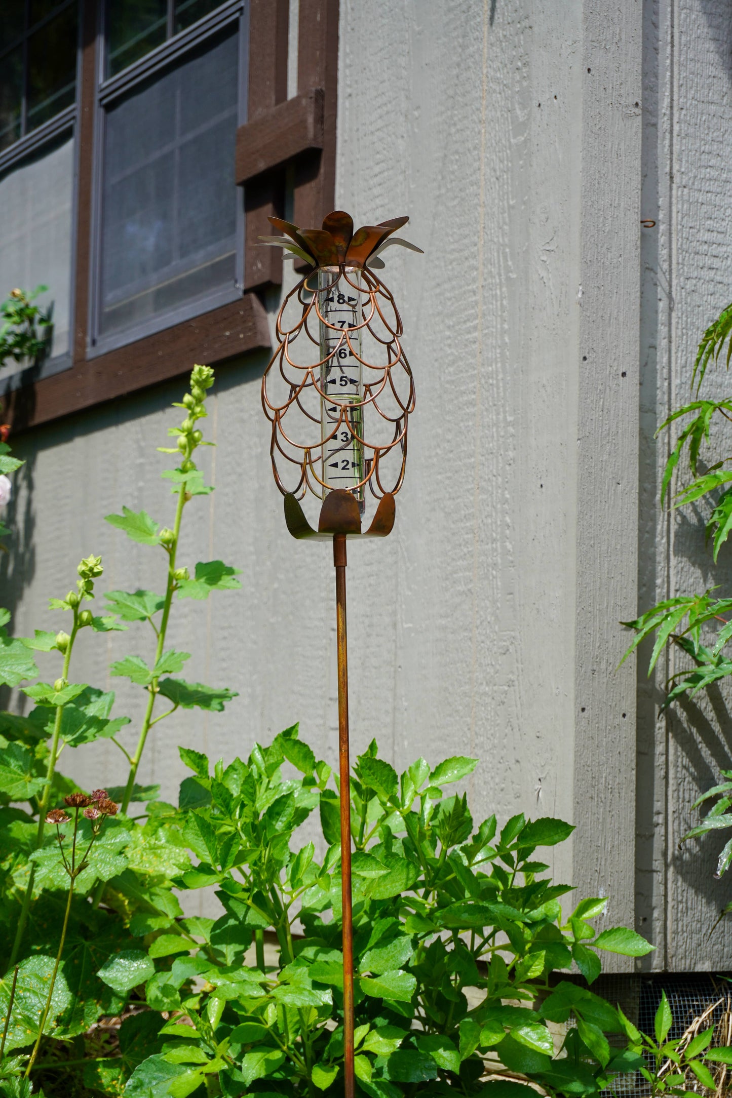 Copper-finish metal pineapple-shaped rain gauge garden stake with glass tube insert, displayed among green garden plants