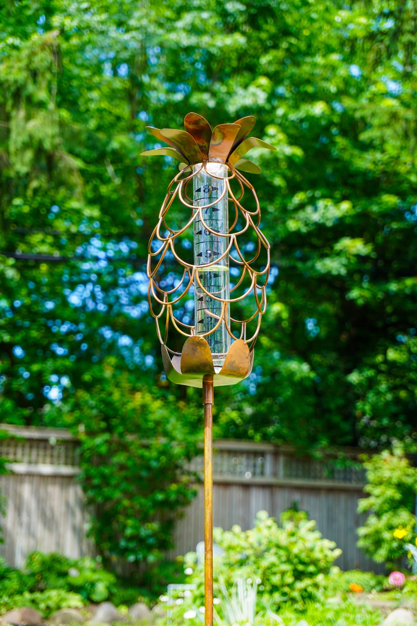 Copper metal pineapple-shaped rain gauge on a garden stake with a glass tube insert, displayed outdoors