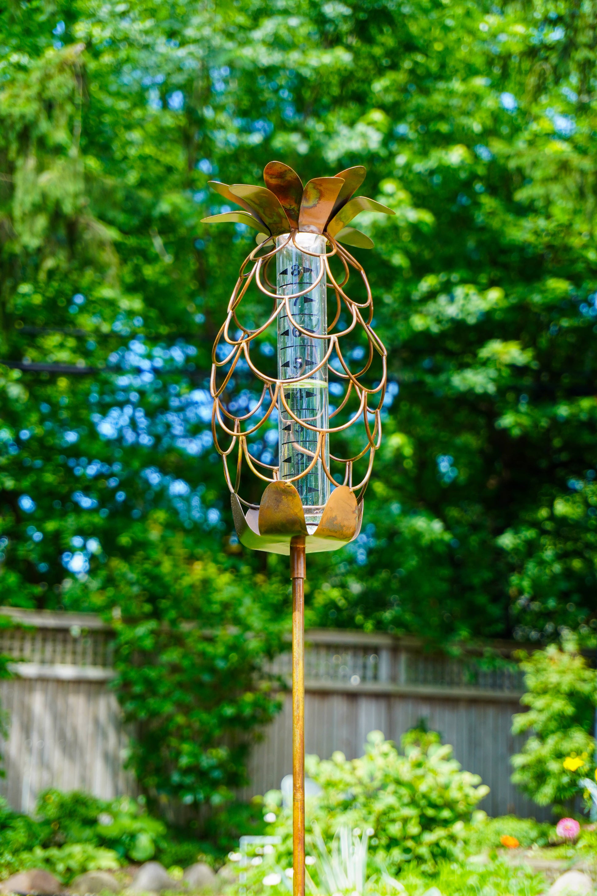 Copper metal pineapple-shaped rain gauge on a garden stake with a glass tube insert, displayed outdoors