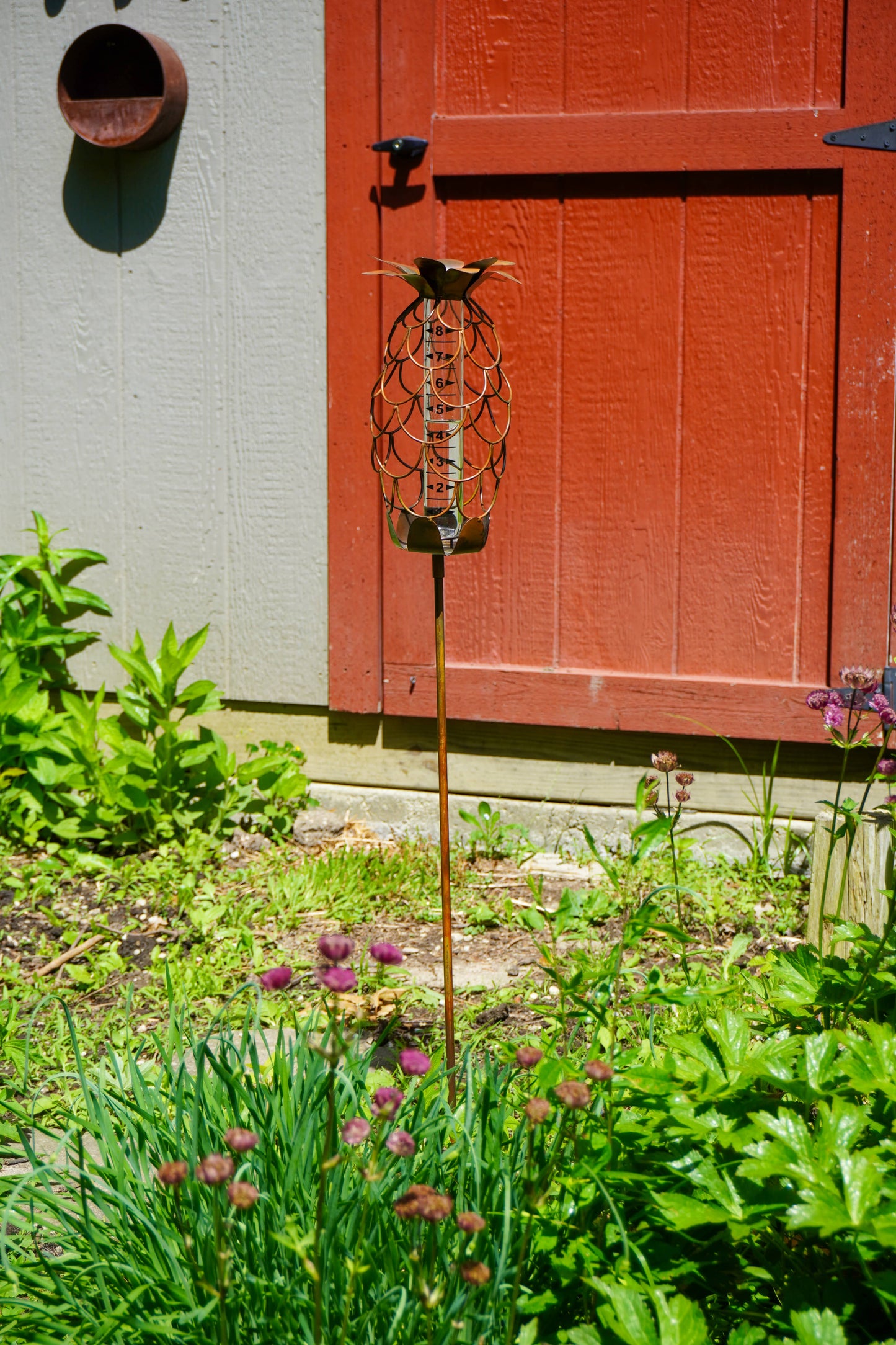 Decorative metal pineapple-shaped rain gauge on a stake displayed in a garden beside a red barn door