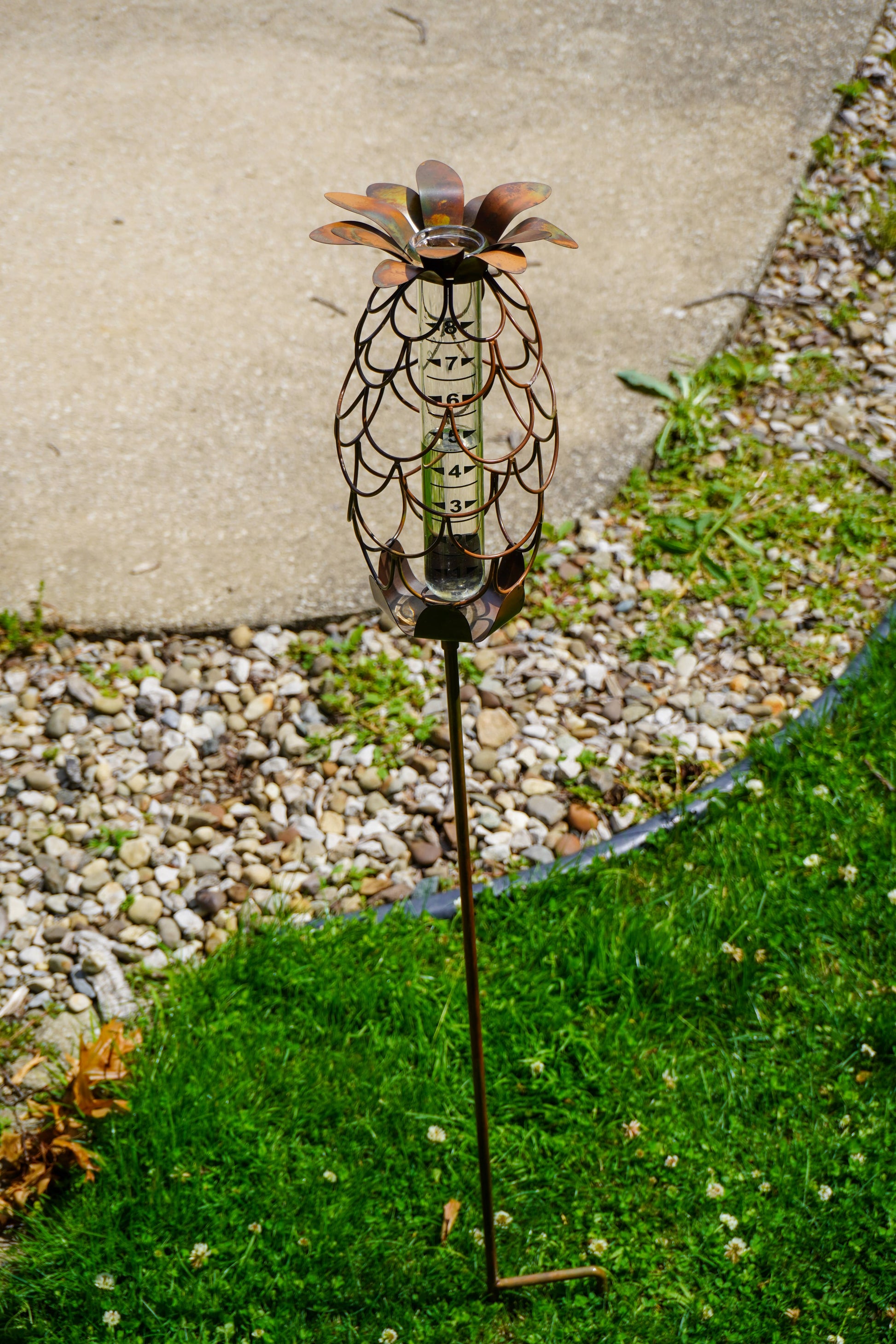 Copper-toned metal pineapple-shaped rain gauge garden stake with glass tube insert, placed in grass near gravel and pavement