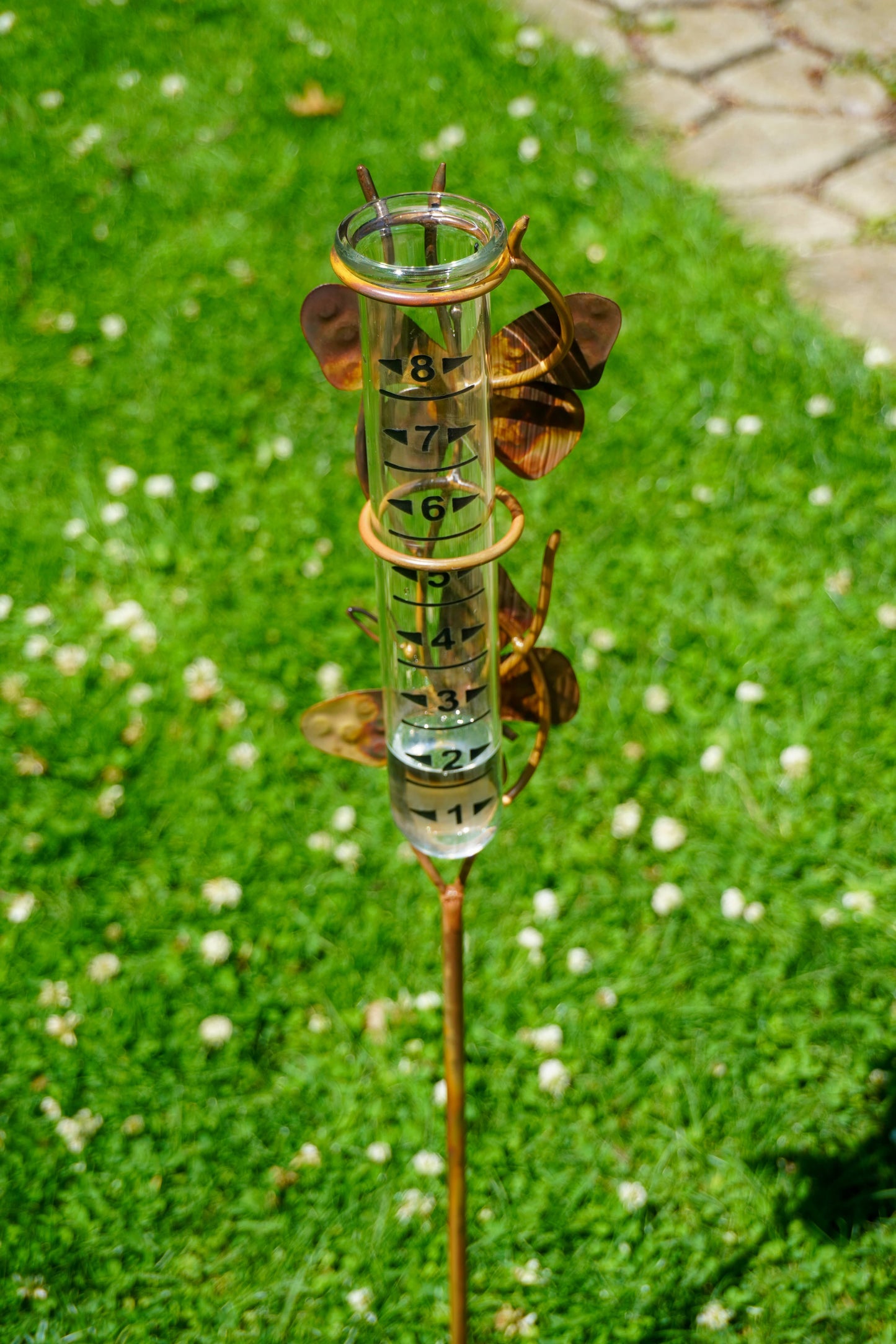 Rain gauge on a grassy background