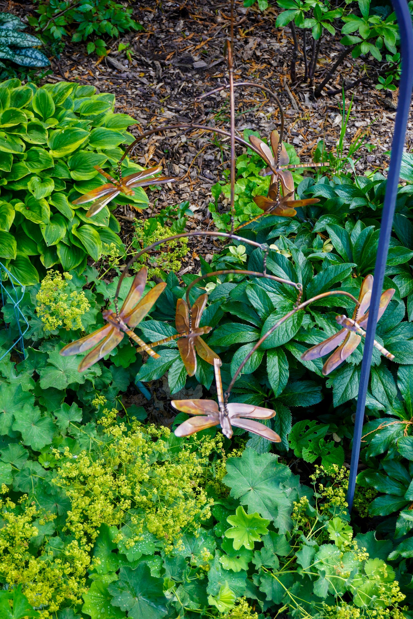 Metallic dragonfly garden sculptures displayed among green foliage and plants in a garden setting.