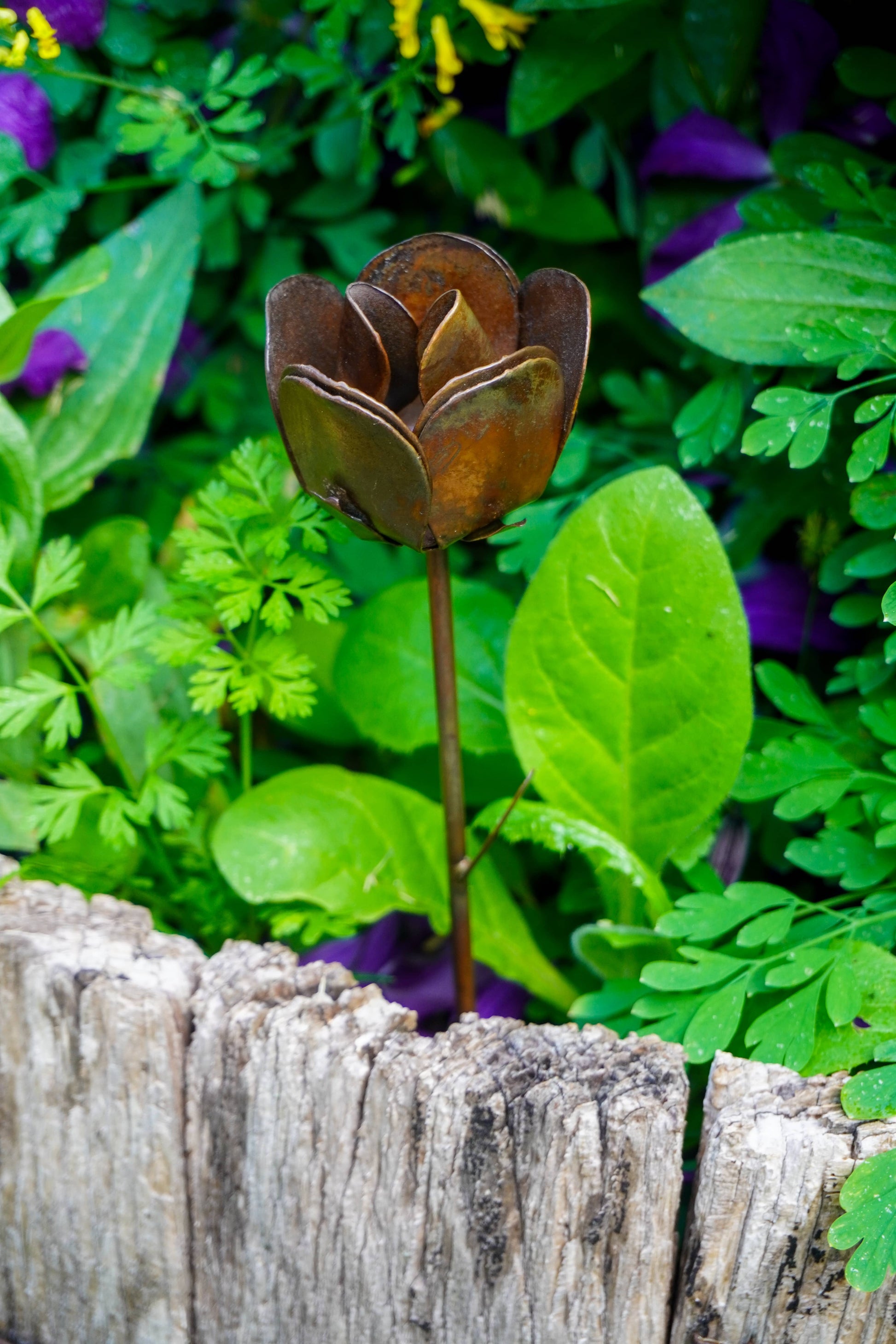Flamed Rose Plant Pick - Happy Gardens