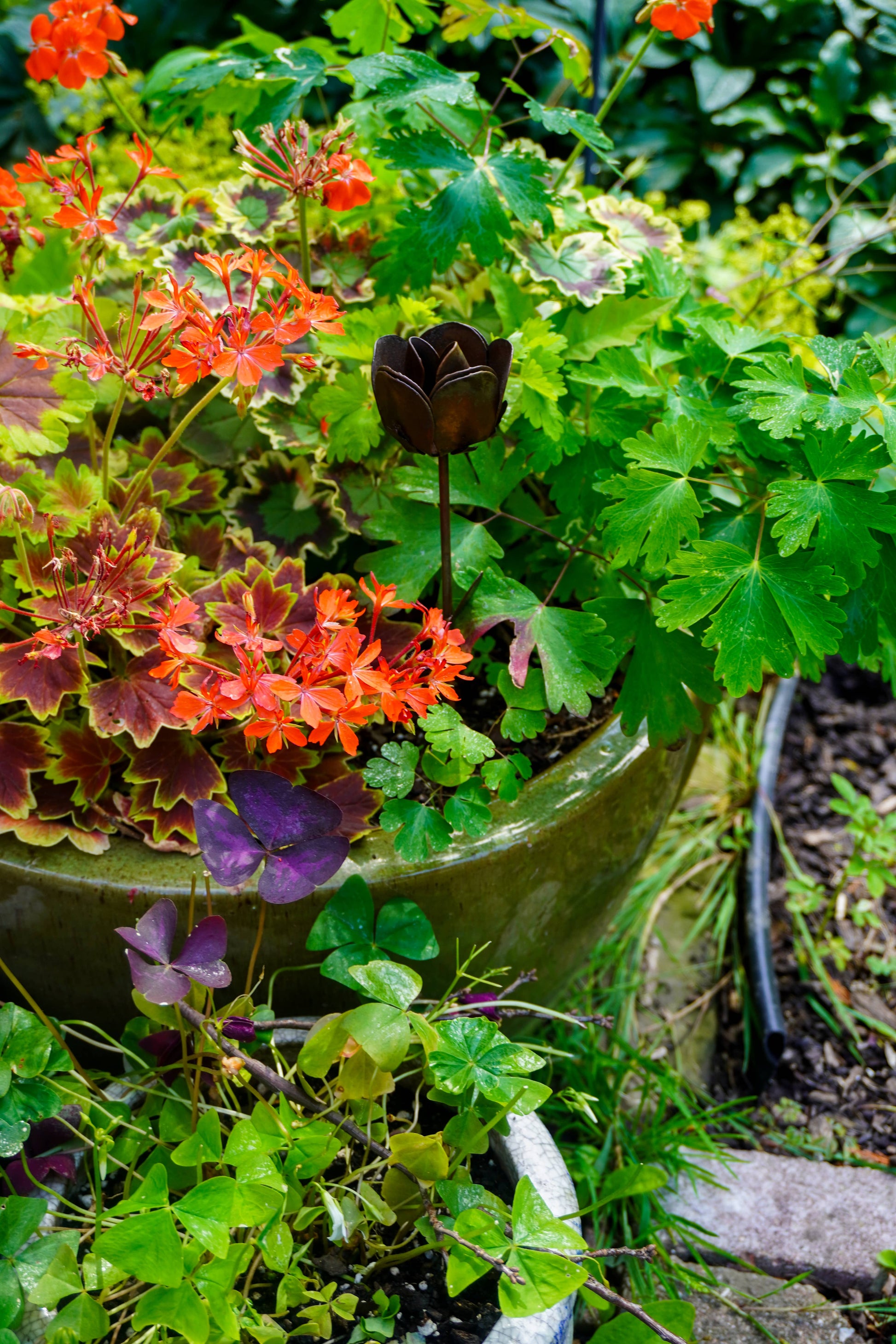 Flamed Rose Plant Pick - Happy Gardens