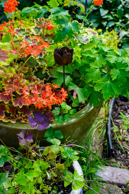 Flamed Rose Plant Pick - Happy Gardens