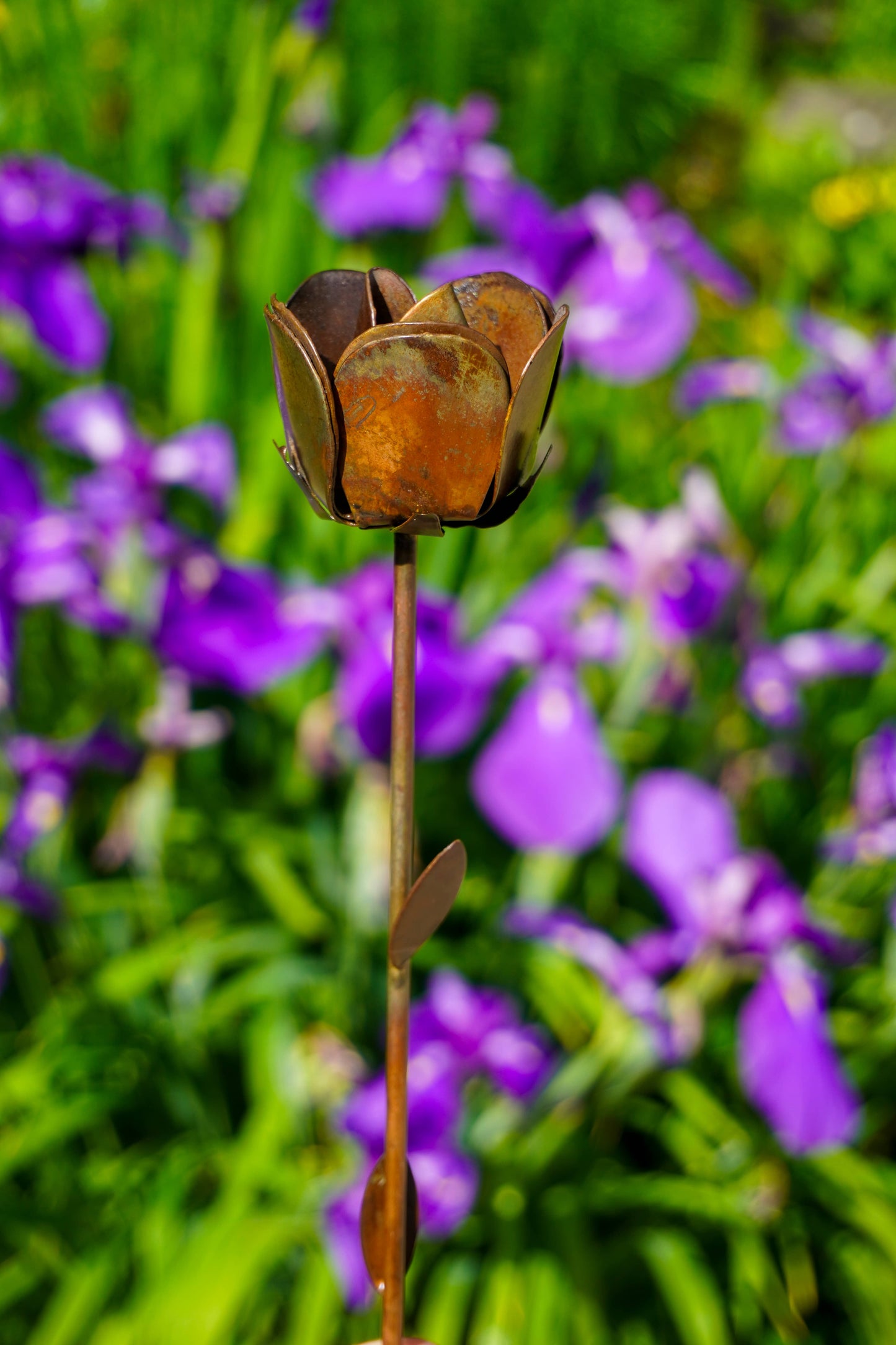 Flamed Rose Plant Pick - Happy Gardens
