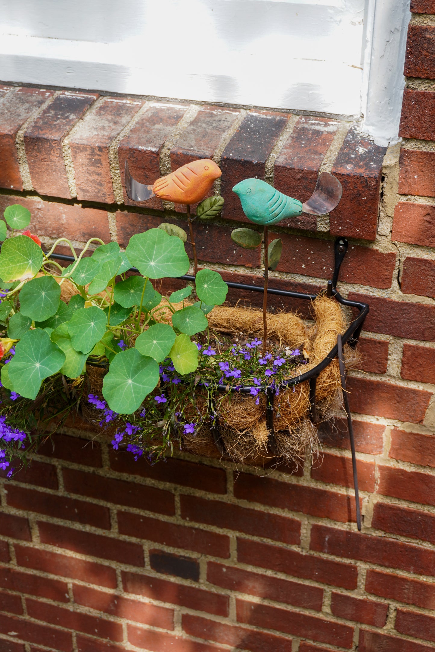 Window box with plants and colorful bird-shaped decorations on a brick wall