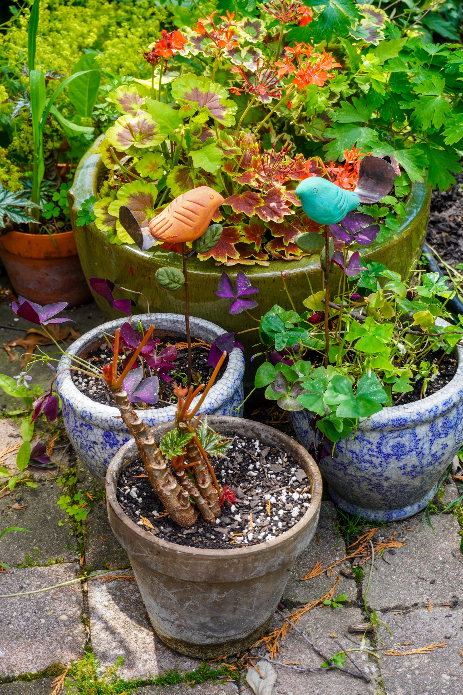 Potted plants with colorful flowers and small figurines on a stone path
