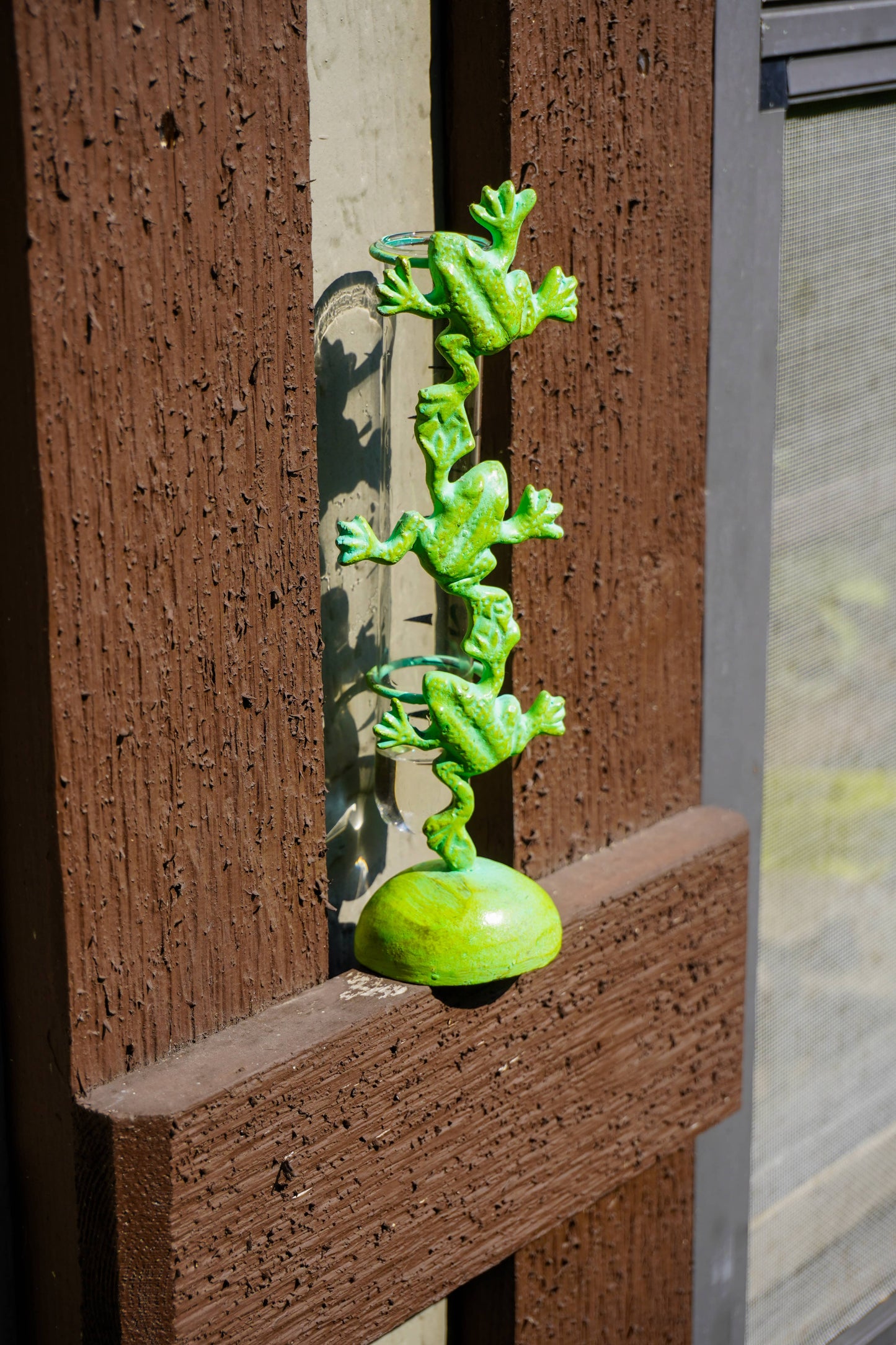 A green frog-themed decorative sculpture mounted on a brown wooden fence or door, with sunlight casting a shadow on the wood.