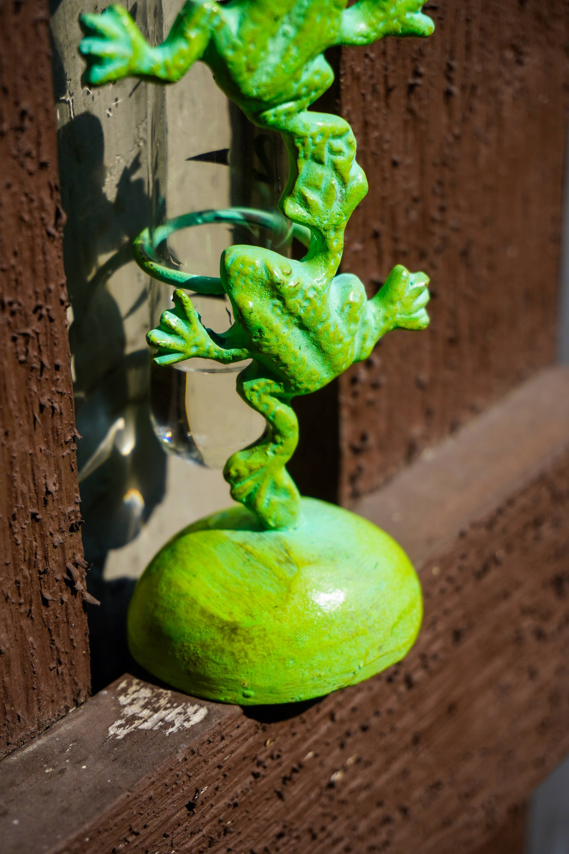 A bright green frog-shaped rain gauge, mounted on a weathered brown wooden door.