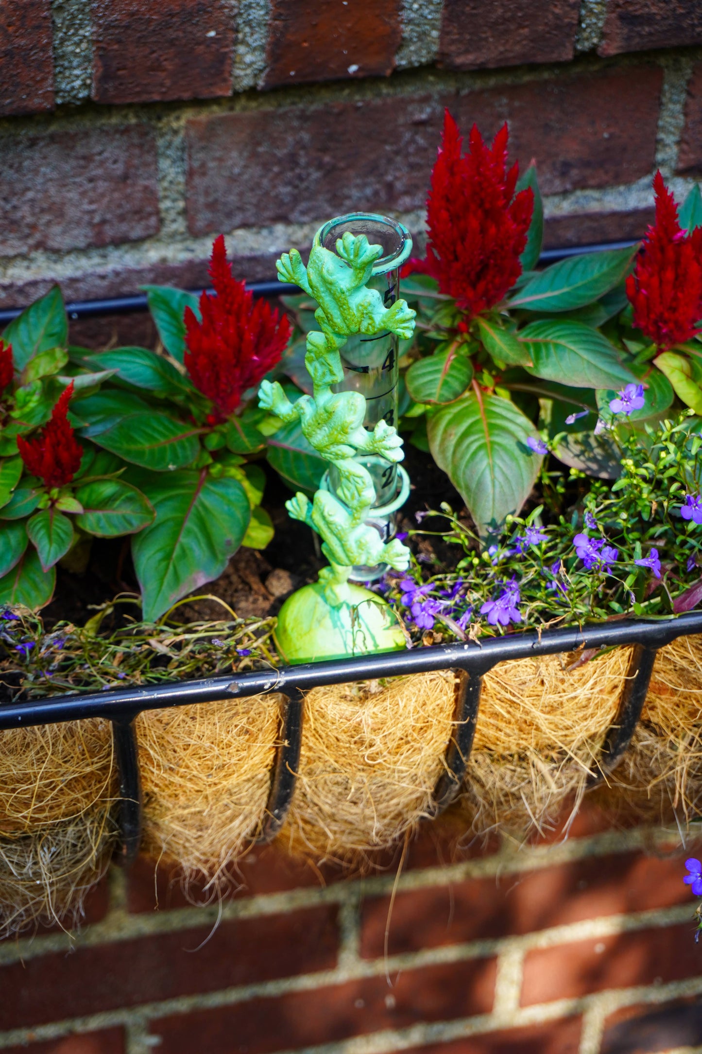 A black metal hanging planter filled with green foliage, bright red flowers, small purple blossoms, and a light green spiral succulent, set against a red brick wall.