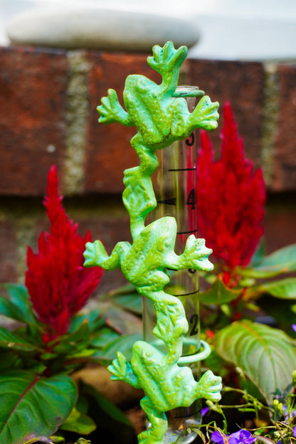 A green frog-shaped rain gauge with black measurement markings, surrounded by red and green foliage.