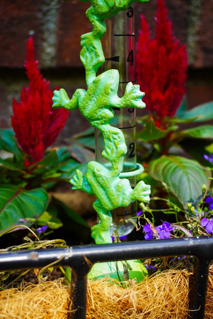 A green frog-shaped plant stake or stake holder with a clear height ruler printed on the back, shown planted in soil with surrounding red and purple flowers.
