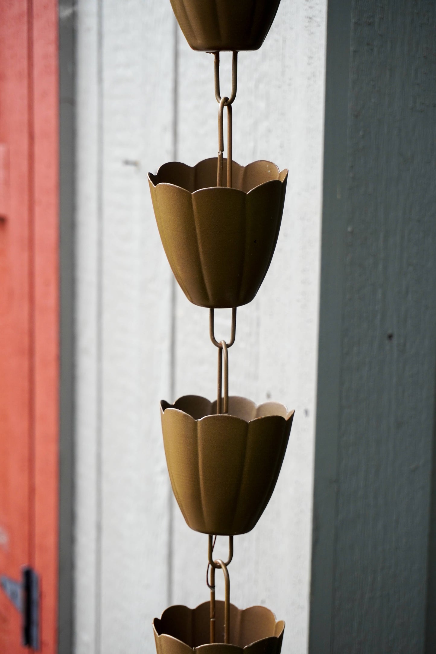 A close-up of a metal rain chain hanging vertically outdoors, with flower-shaped cup links in a warm metallic gold finish against a white wall and a red door frame.