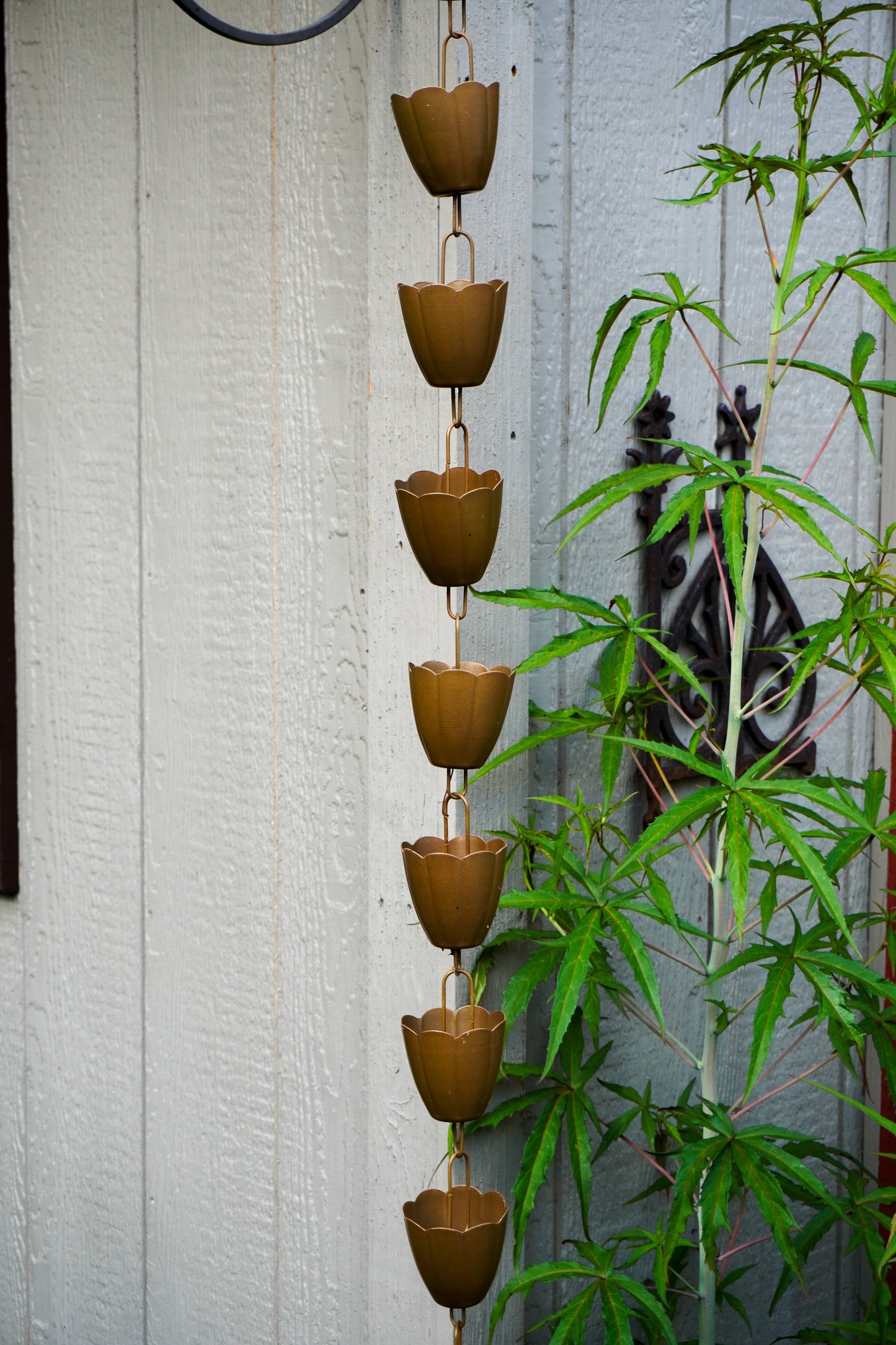 A vertical rain chain made of seven brown metal cup links hanging in front of a white wooden wall, with green plant leaves partially obscuring the right side.