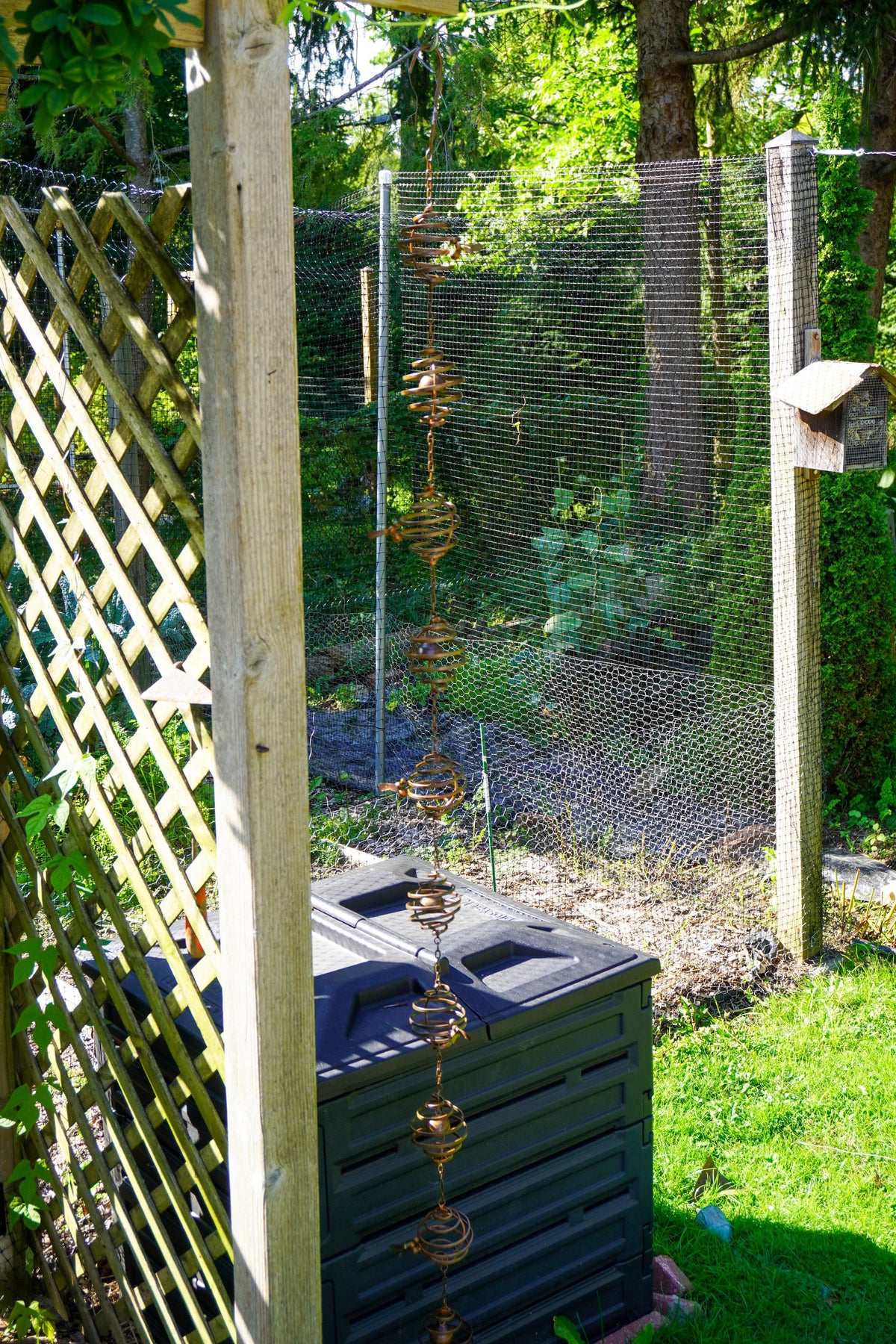 A metal garden rain chain with spiral discs hangs from a wire fence in a backyard garden setting next to a wooden lattice fence and a black compost bin.