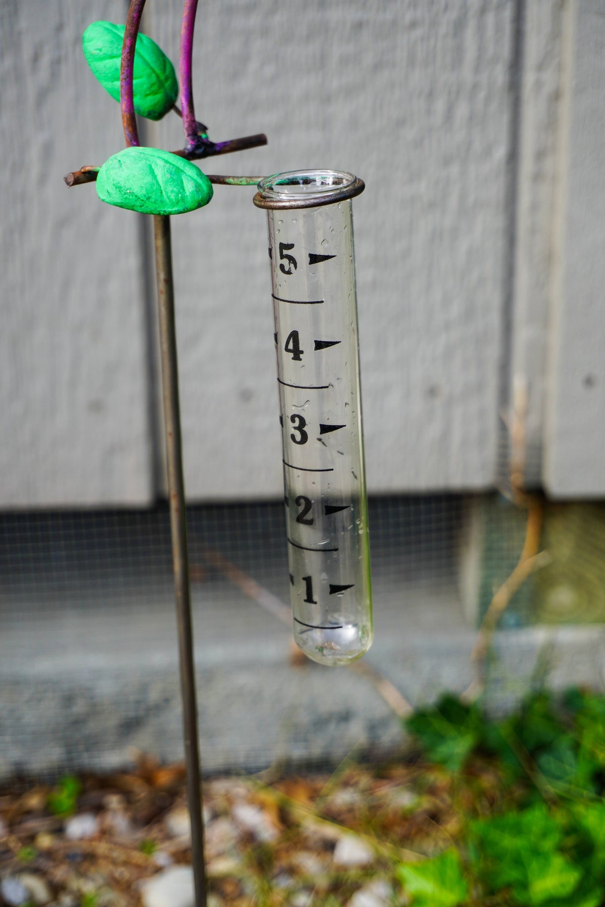 A clear glass rain gauge with black measurement markings, hanging from a metal stake with green leaf-shaped weights in an outdoor garden setting.