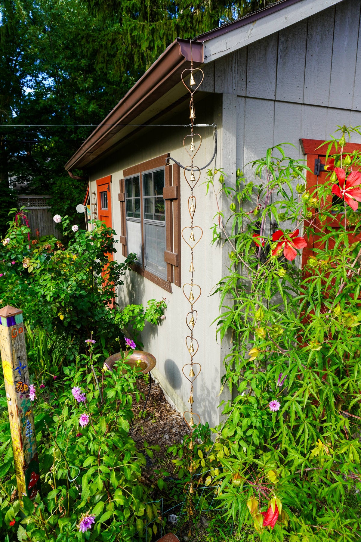 A gold heart-shaped rain garden chain hanging from a house eave in a lush garden with green plants, red flowers, and a gray-sided house.