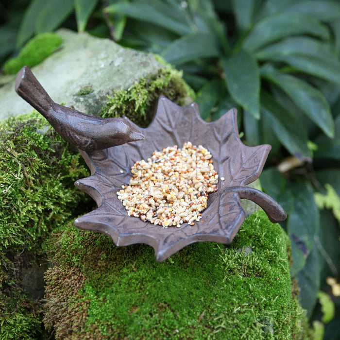 Small Maple Leaf Bird Bath - Happy Gardens