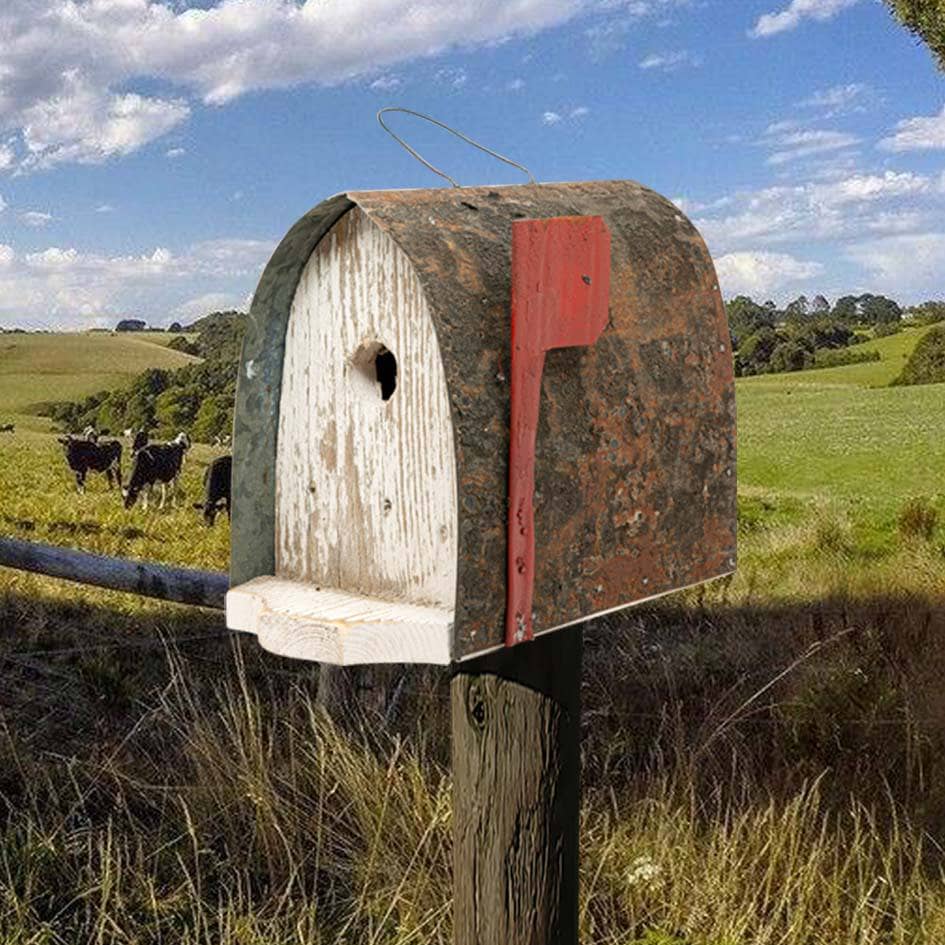 Mercer Mailbox Birdhouse