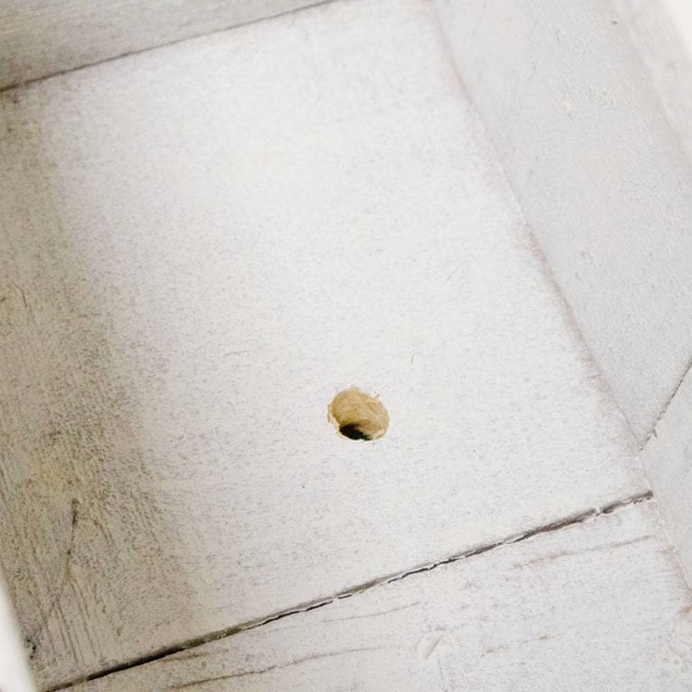 A close-up view of a small, round, tan-colored object with a dark center, resting on a white-painted wooden surface.