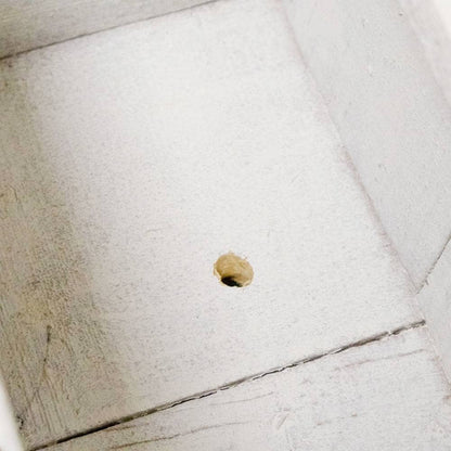 A close-up view of a small, round, tan-colored object with a dark center, resting on a white-painted wooden surface.