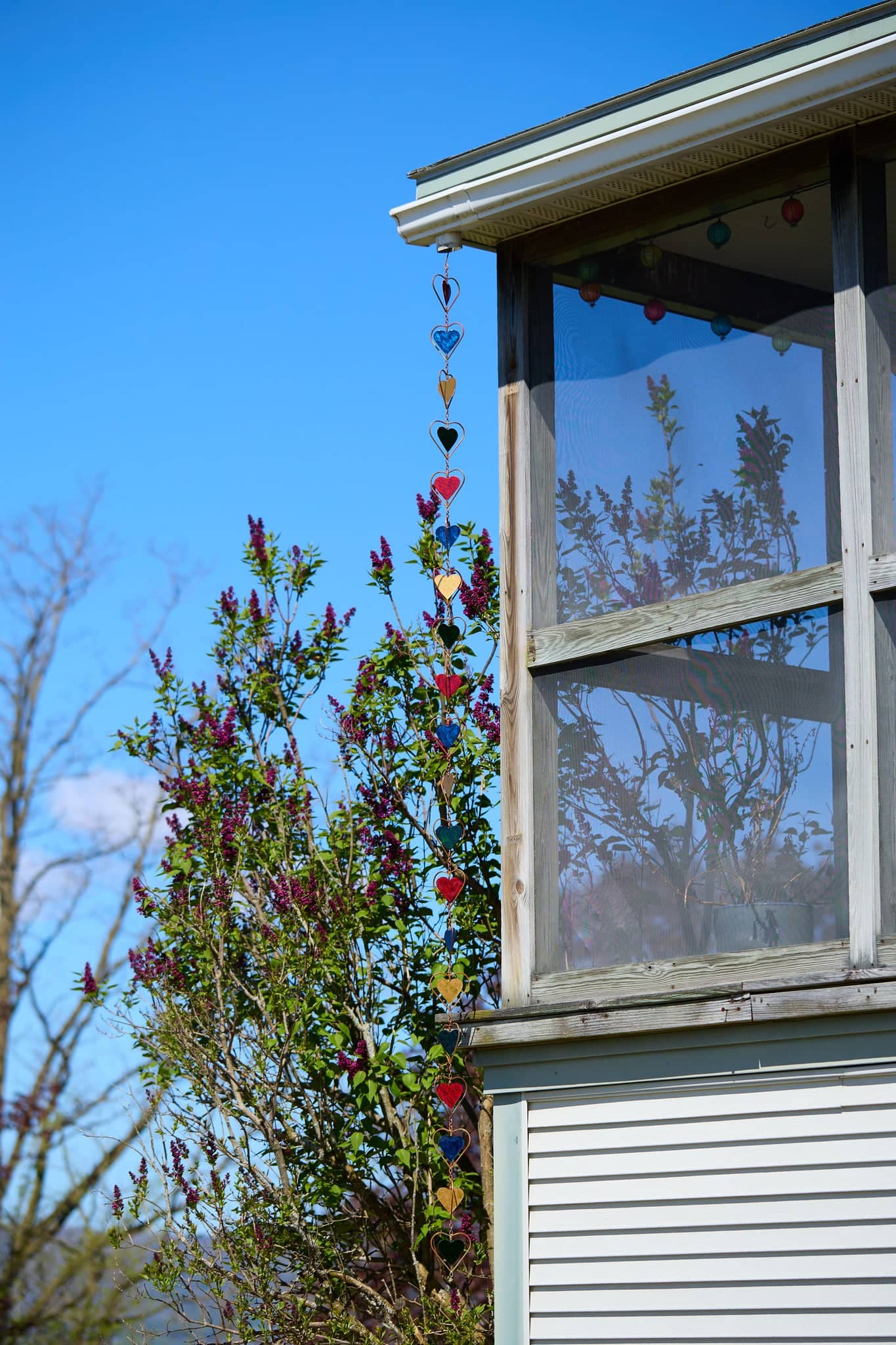 Happy Gardens - Multicolor Heart Rain Chain