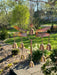 Happy Gardens - Dragonfly with Bells Wind Chime