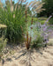 Happy Gardens - Triple Cattail Garden Stake