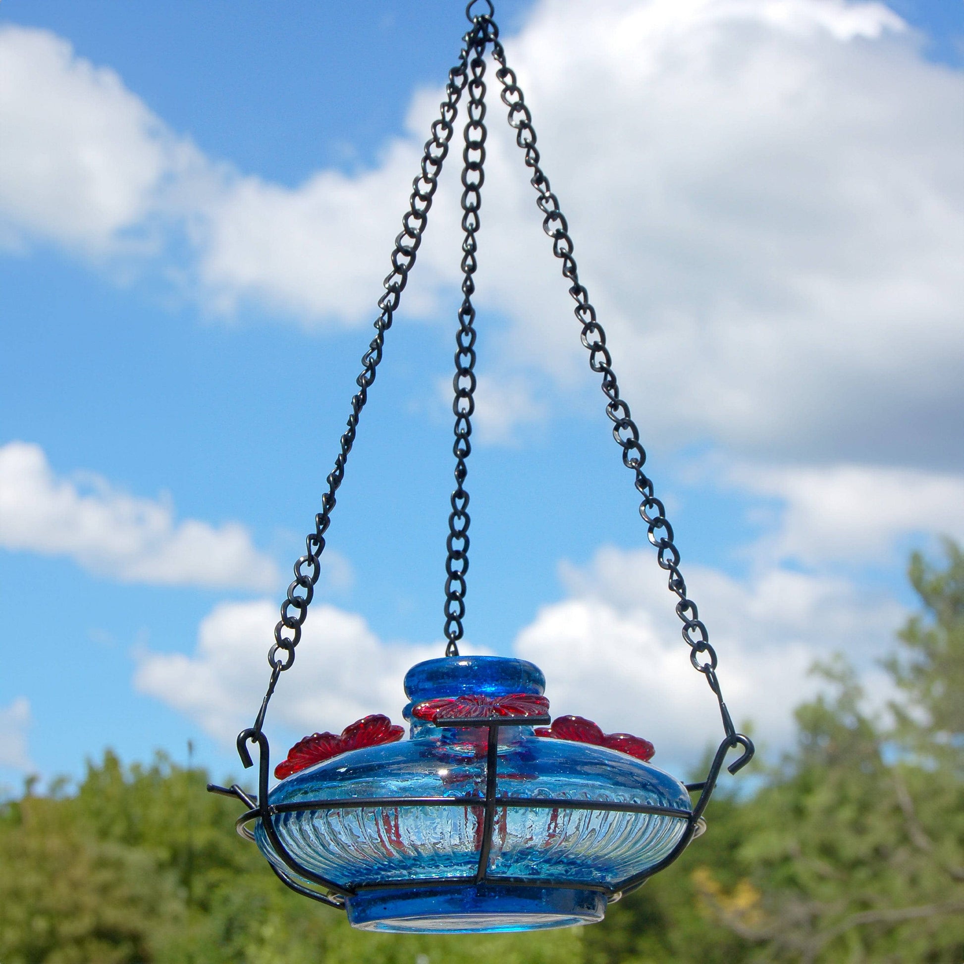 Bloom Hummingbird Feeder with Perch - Happy Gardens