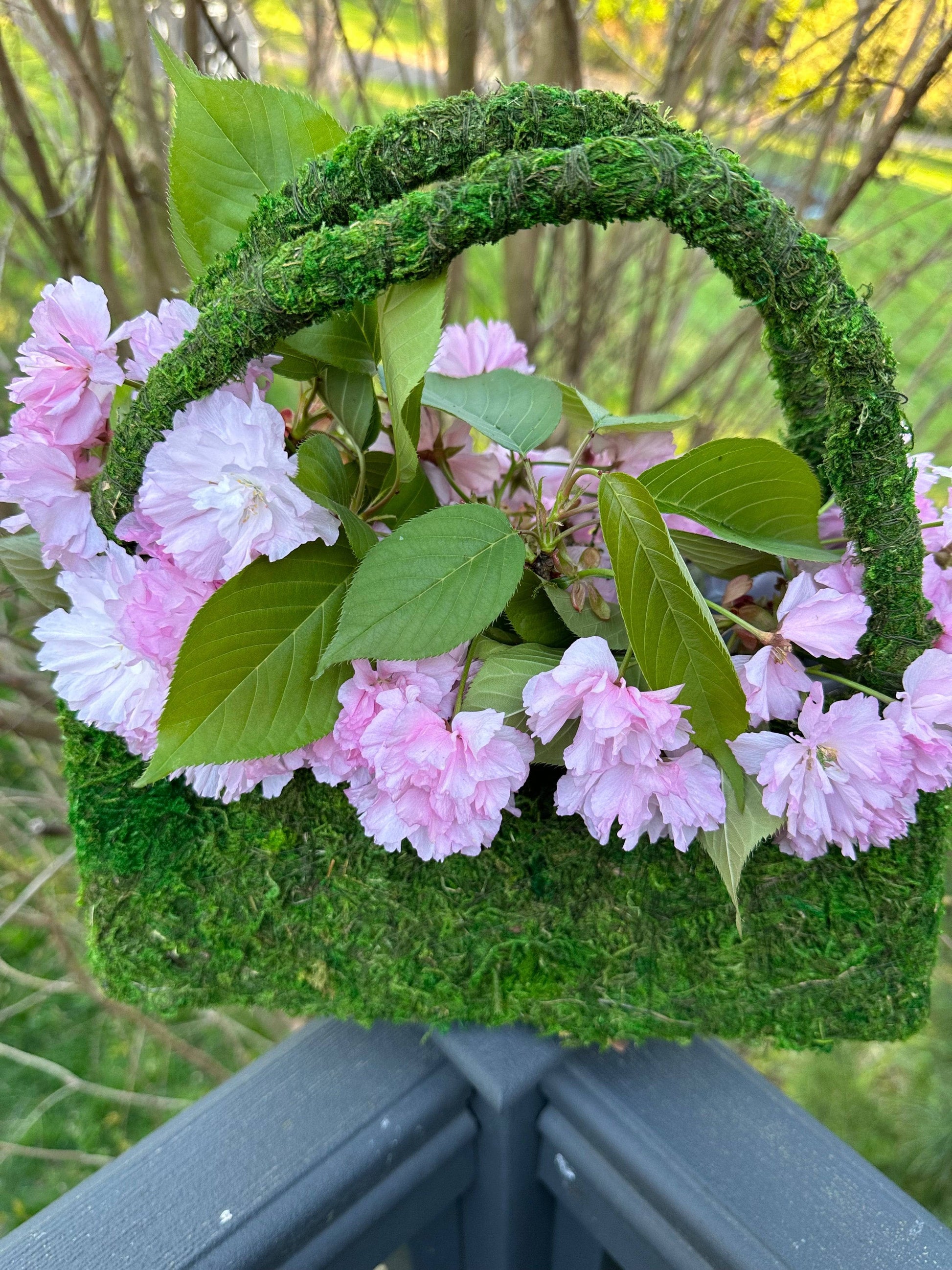 hanging moss planter Beaumont Purse Moss Planter – Happy Gardens
