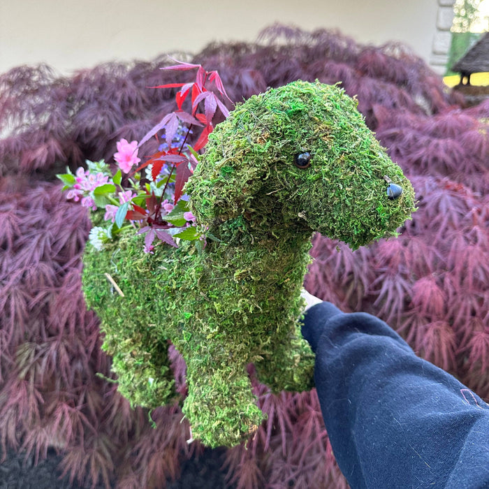 Puppy Moss Planter - Happy Gardens