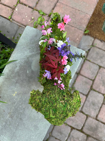 MOSS Glazed Pot 14-23cm + Saucer   – PLANTS HAPPY