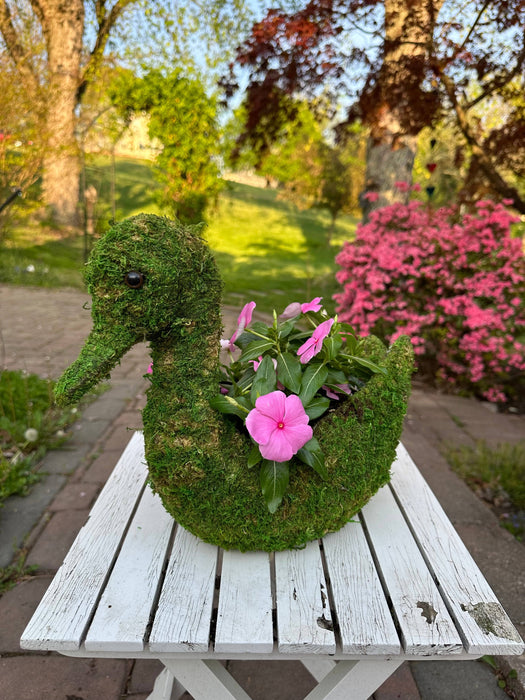 Moss Swan Planter - Happy Gardens