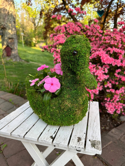 swan pot plant Moss Swan Planter, 13in – Happy Gardens