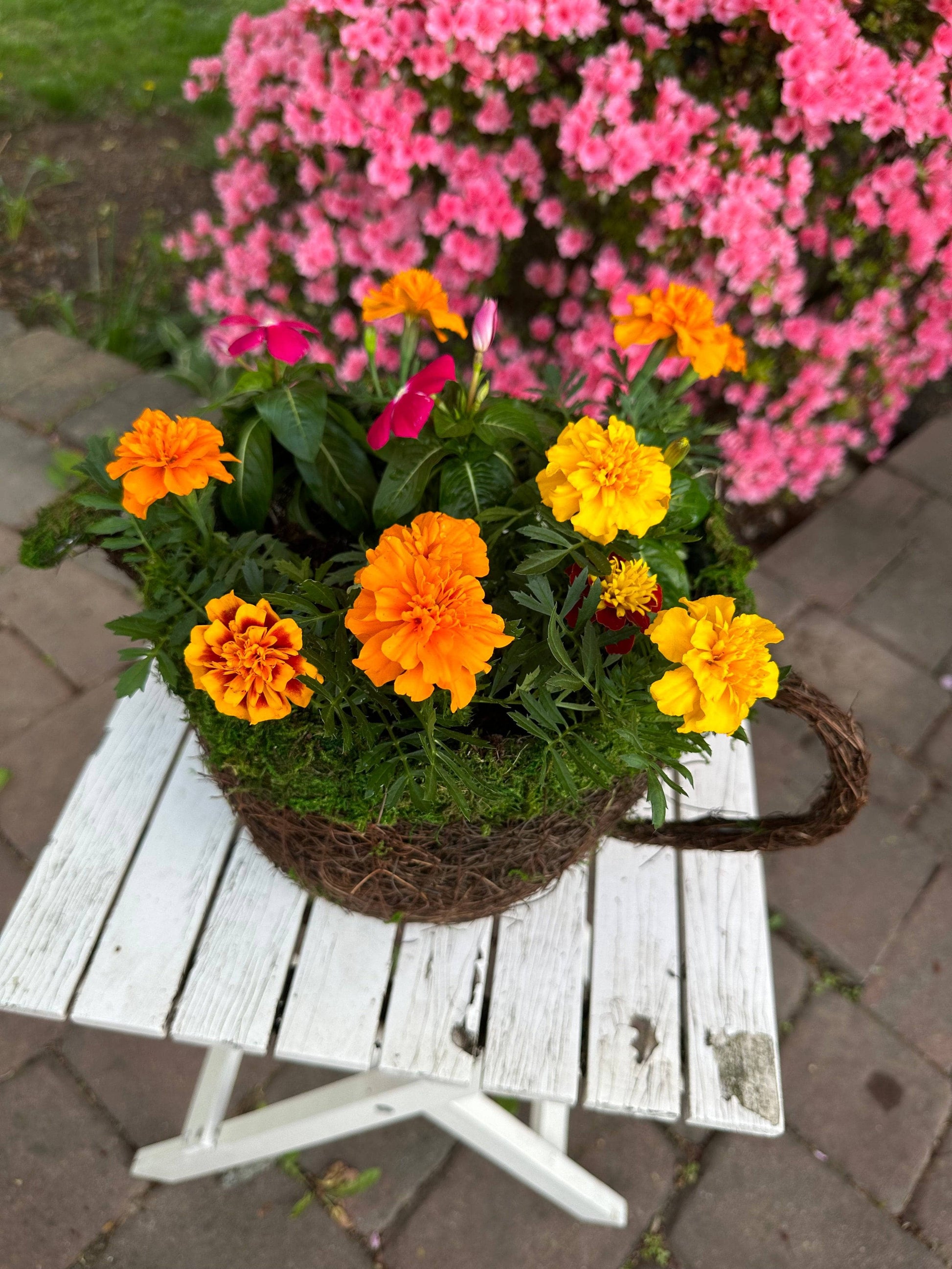 Watering Can Moss Planter - Happy Gardens